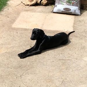 Meet your Posher, Sam